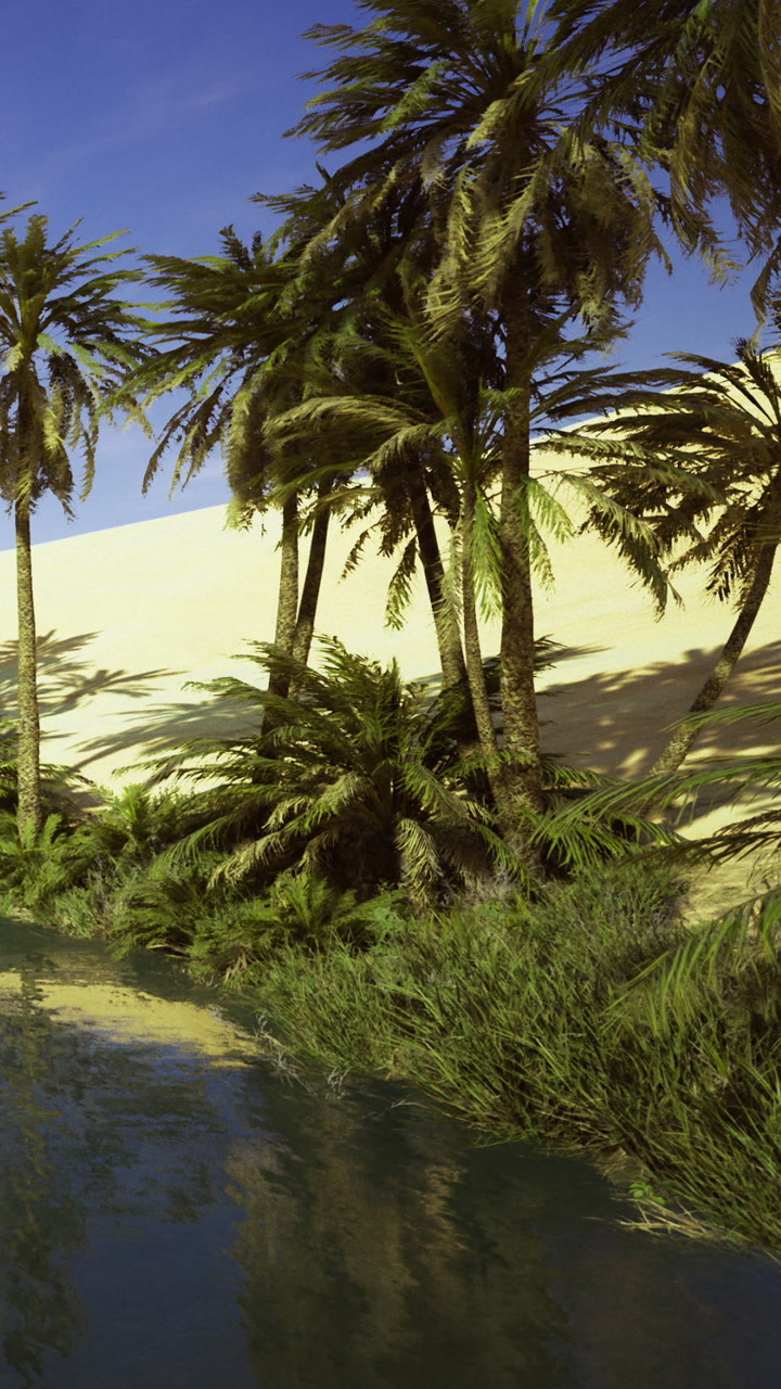 Palm trees grow along a water source in a desert location under blue sky