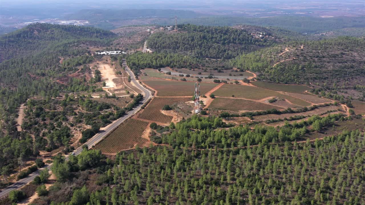 Aerial View of Vineyard and Hilly Terrain