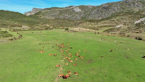 cubillas de arbas mountains aerial view, advance shot