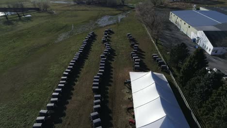 Amish-Family-Wedding-as-Seen-by-a-Drone