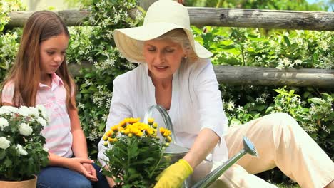 grandmother and her grand daughter gardening