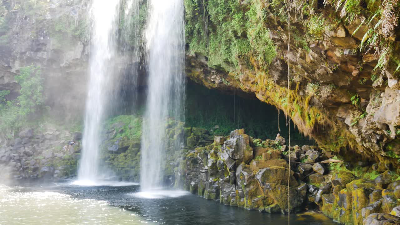 toma panorámica del agua de la cascada que choca contra el lago natural de la densa jungla - cascadas kerikeri, nz en verano