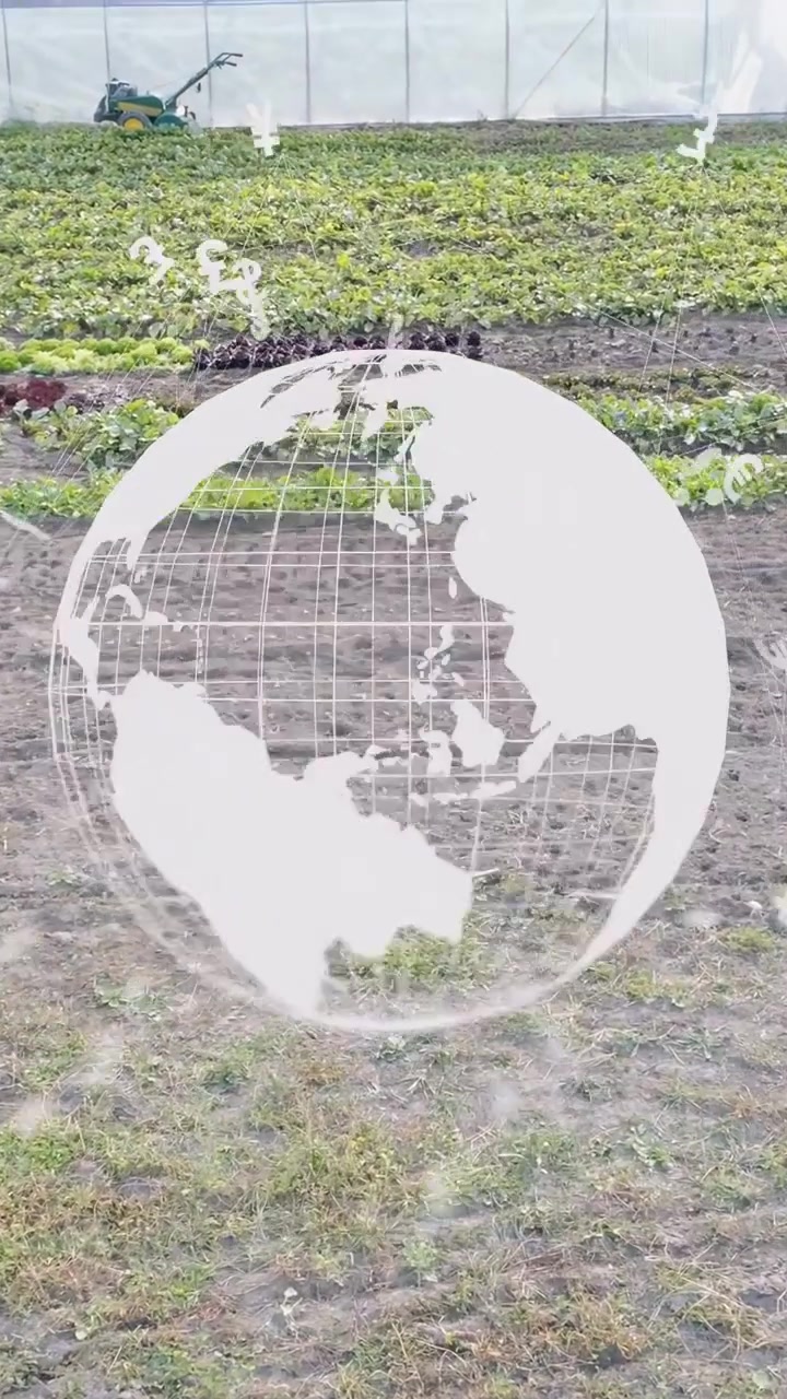 Vídeo vertical: Globo surgindo sobre plantações, girando, ícones de dinheiro flutuando mostrando finanças agrícolas.