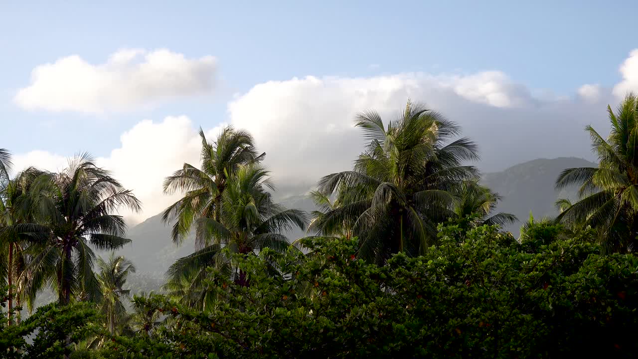 wolken ziehen über einer bergkette auf einer tropischen insel in asien mit palmen im zeitraffer 4k