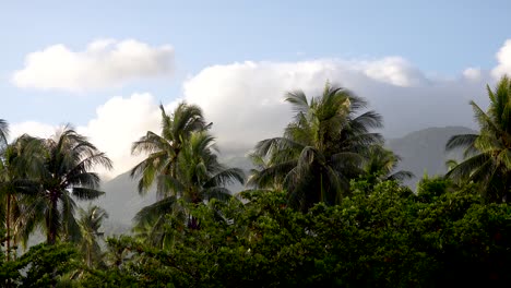 nubes pasando sobre una cordillera en una isla tropical en asia con palmeras timelapse 4k