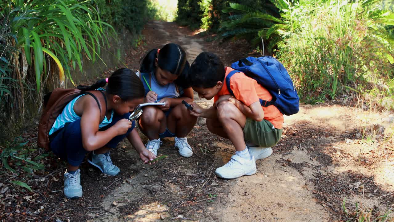 친구 들 은 공원 에서  ⁇ 보기 유리 를 통해 잎 을 보고 있다