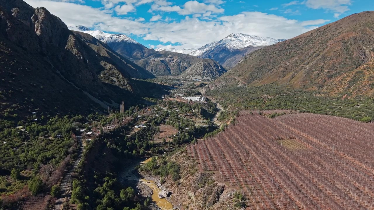 Vista aérea volando sobre nogales secos en invierno, con San Gabriel al fondo, Chile.