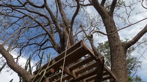 directly below simple diy homemade pallet treehouse and