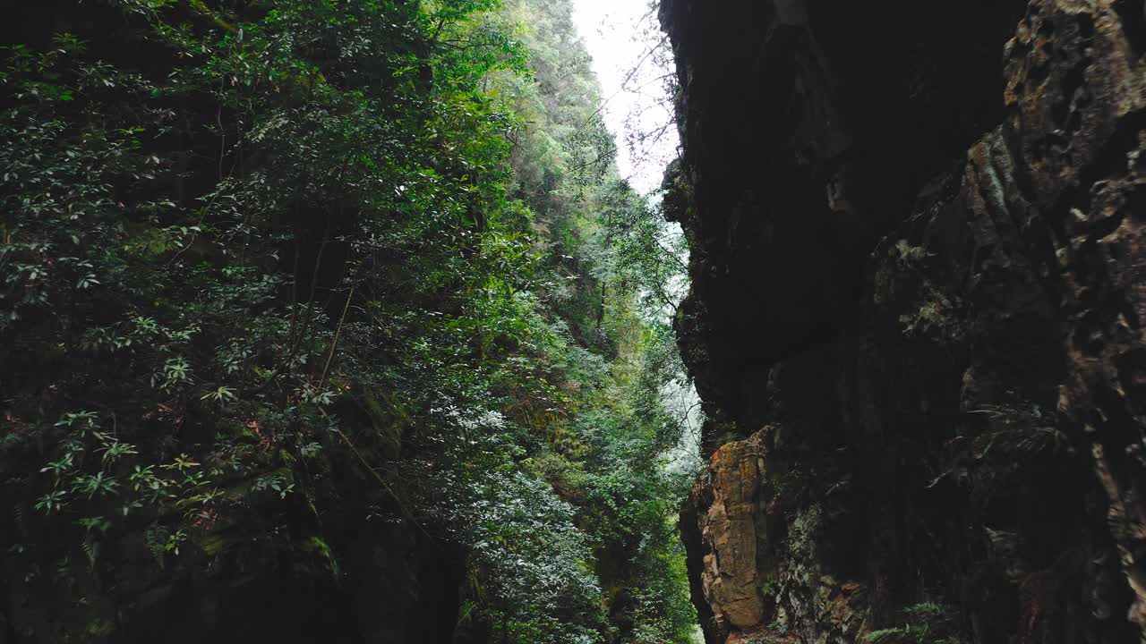 ascendiendo sobre los pilares de piedra arenisca del parque forestal nacional de zhangjiajie en zhangjiajie, provincia de hunan, china