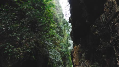 ascending over sandstone pillars of zhangjiajie national forest park in zhangjiajie, hunan province, china