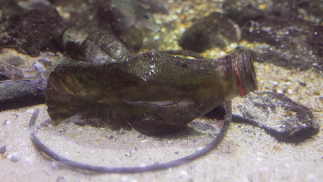 수질 오염과 관련된 환경 문제입니다.