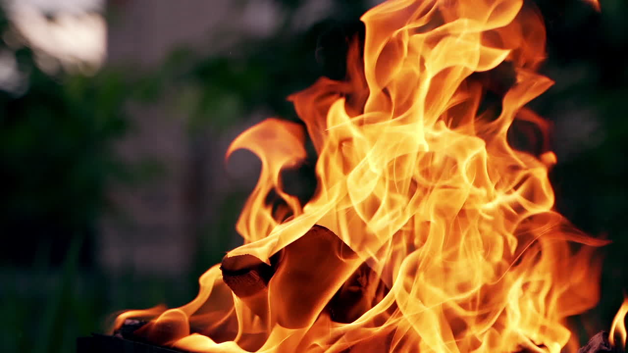 Bonfire burning at night. Burning logs in orange flames. Fire flame