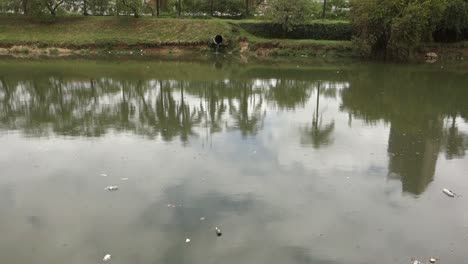 Vista-Estática-De-Un-Agua-Residual-Que-Fluye-Desde-Una-Tubería-De-Hormigón-Hacia-El-Río-Pinheiros-En-Sao-Paulo,-Brasil-Con-Hierba-Verde-En-El-Banco