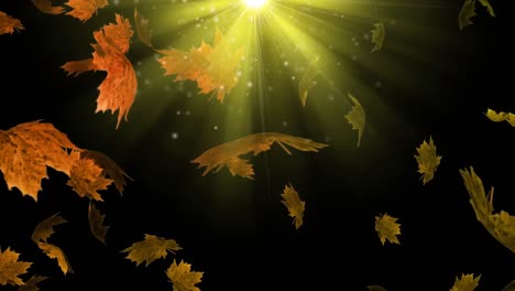 Animation-of-autumn-leaves-over-glowing-light-on-green-background