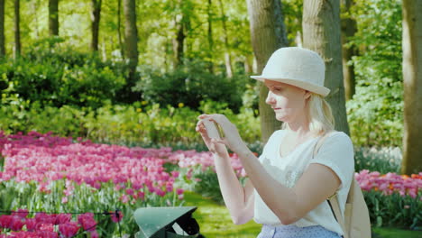 a takes pictures of flowers in the netherlands