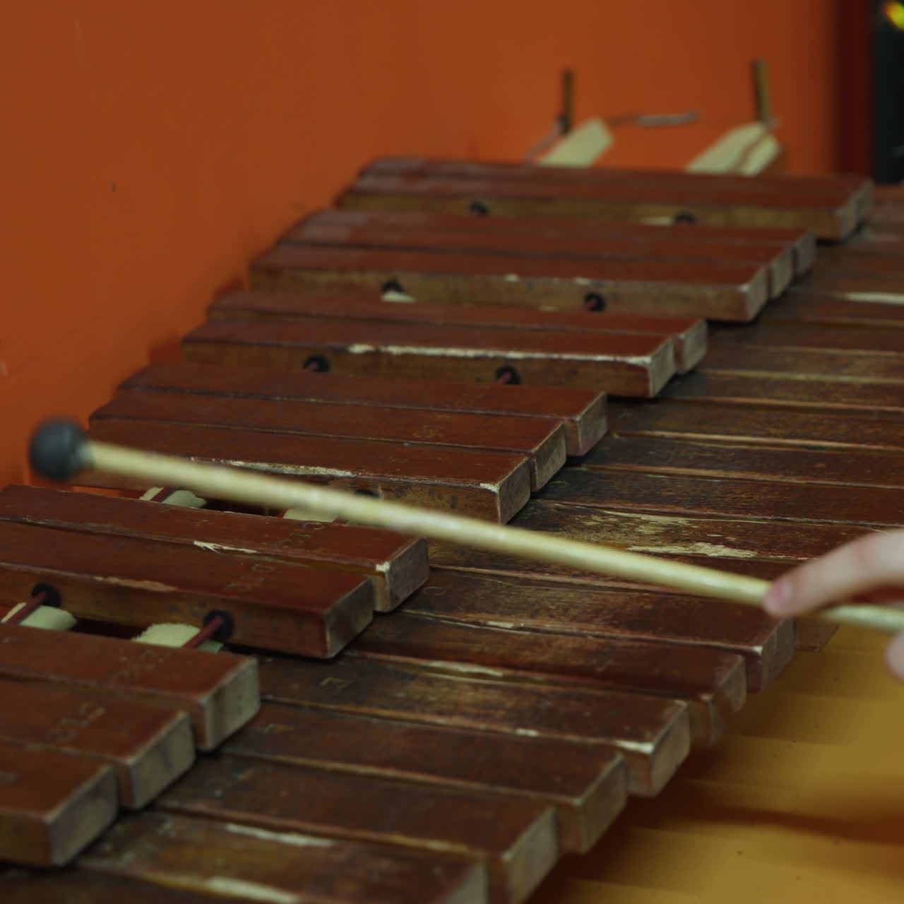 Boy playing on xylophone. Museum of entertaining sciences Square video