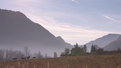 stunning cinematic wide shot of horses at dawn