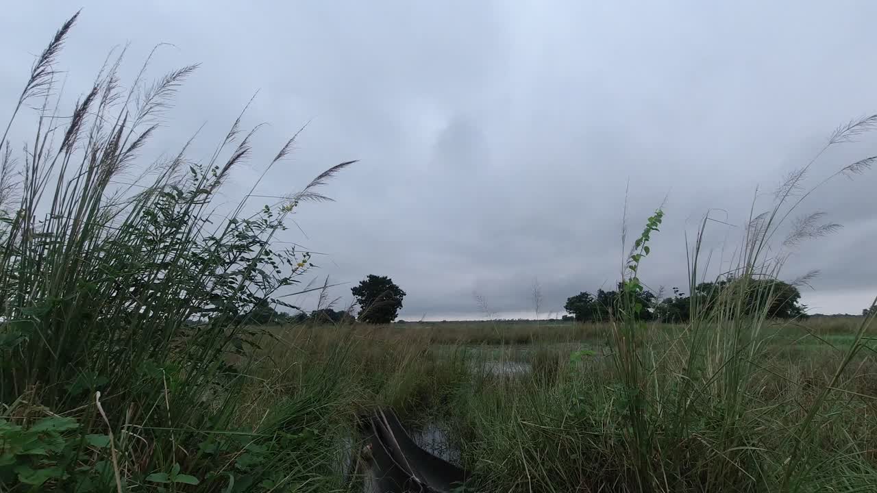 Clouds are running in the middle of nature