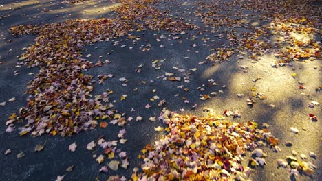 autumn fallen leaves softly blowing and rustling across the ground