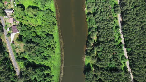 aerial: camera faced down shot of river bank and forest with green trees on each side of the river