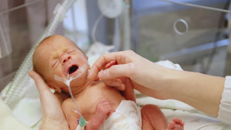 newborn baby receiving care in the nicu