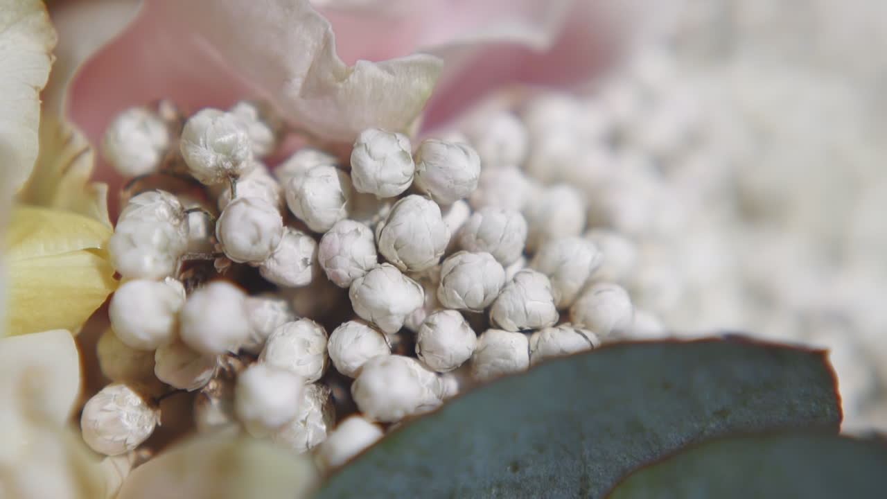 маленькие нежные цветы гипсофилы в праздничном букете