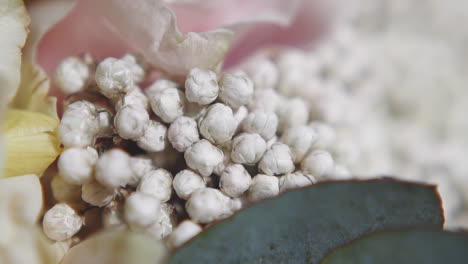pequeñas flores suaves de gipsófila en un ramo festivo