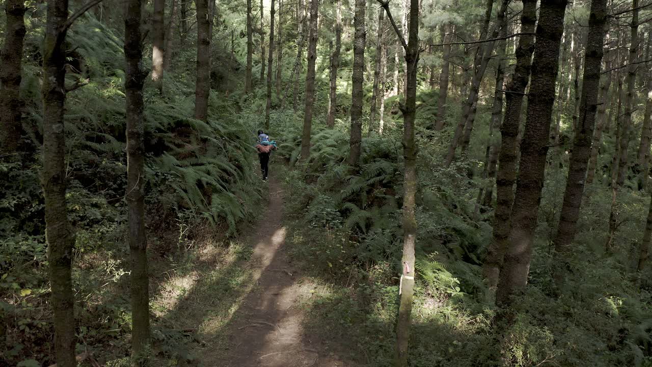 Hiker trekking through Mount Cangshan forests in China, aerial view