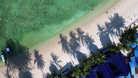 tropical island bay coconut palm tree shade beach, turquoise clear water