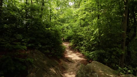 nature hike at natural bridge state park, kentucky