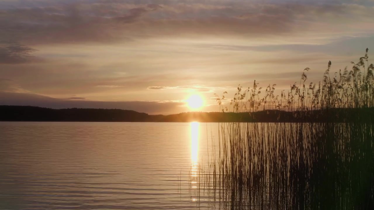 Filmato timelapse del tramonto su un lago calmo a Klesnik, Polonia, con alte canne in primo piano, riflesso dorato sull'acqua e una tranquilla costa rurale