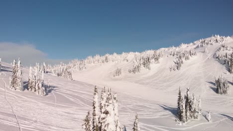 aerial view of ski slopes with trails in revelstoke, canada