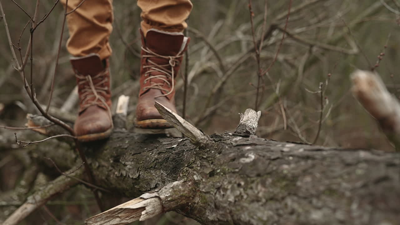 알아볼 수 없는 사람의 부츠가 쓰러진 나무를 걷는다 1