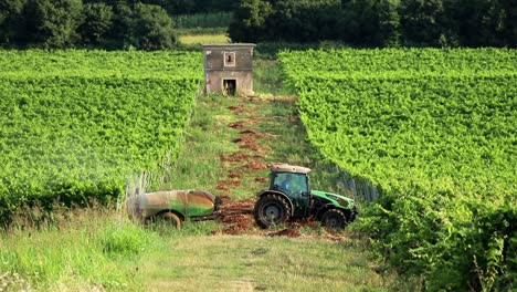 Tractor-Rociando-Vides-En-Viñedos-A-Principios-De-La-Mañana-De-Verano