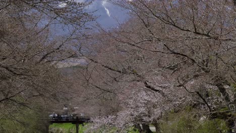 slow motion tilt up reveal over river with tall mt. fuji in distance