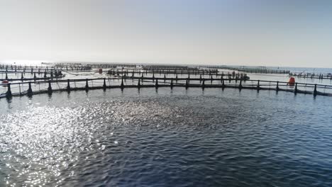 Vista-De-Una-Gran-Piscifactoría-Al-Aire-Libre-Con-Corrales-De-Red-En-El-Mar