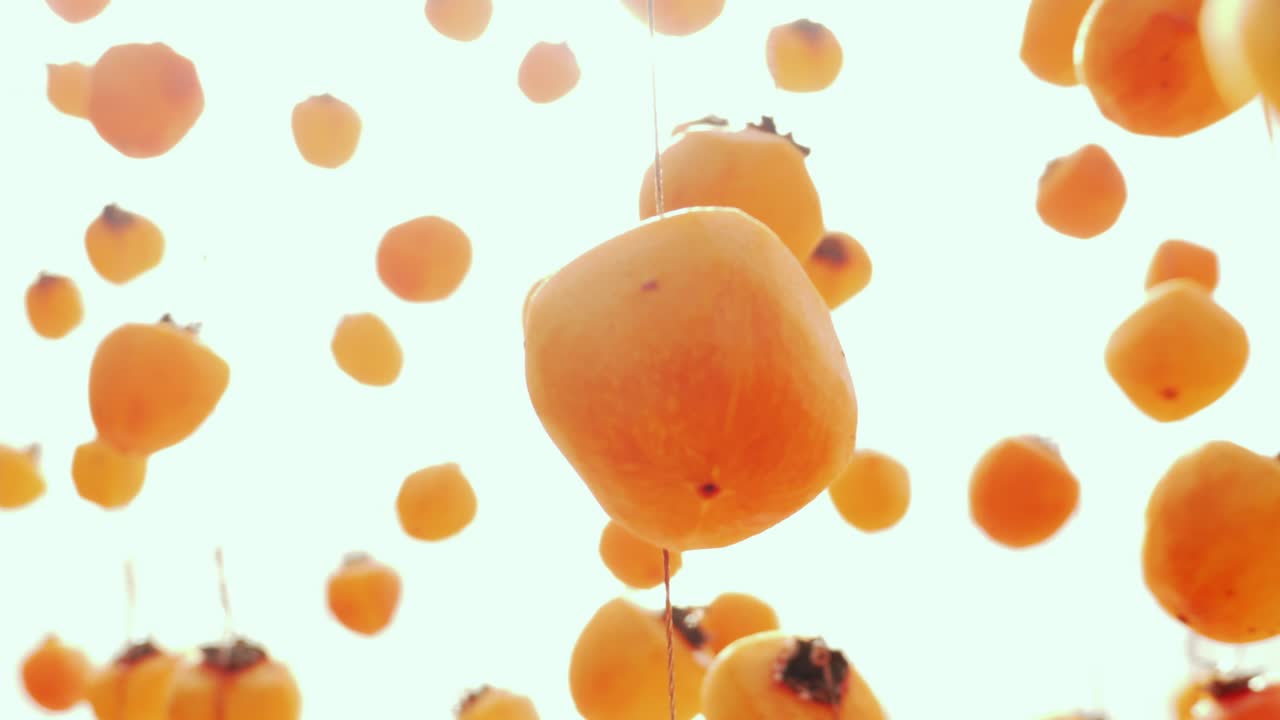 movimiento de seguimiento filas de caquis colgados secándose, rayos de sol a través de un hermoso caqui naranja