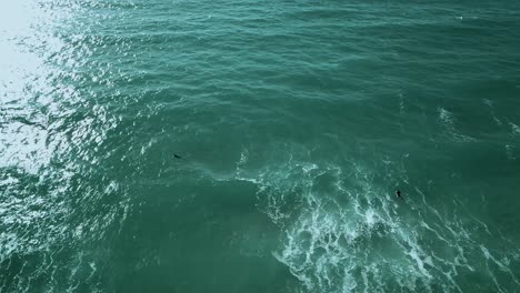 Surfers-waiting-for-the-perfect-wave-in-crystal-clear-waters