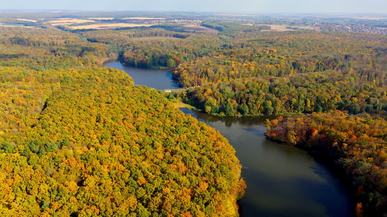 Autumnal Forest and Lake Aerial View