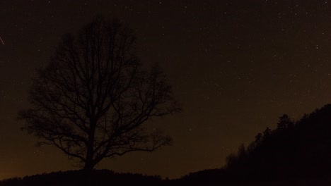 árbol-Solitario-Y-Cielo-Despejado-Con-Estrellas