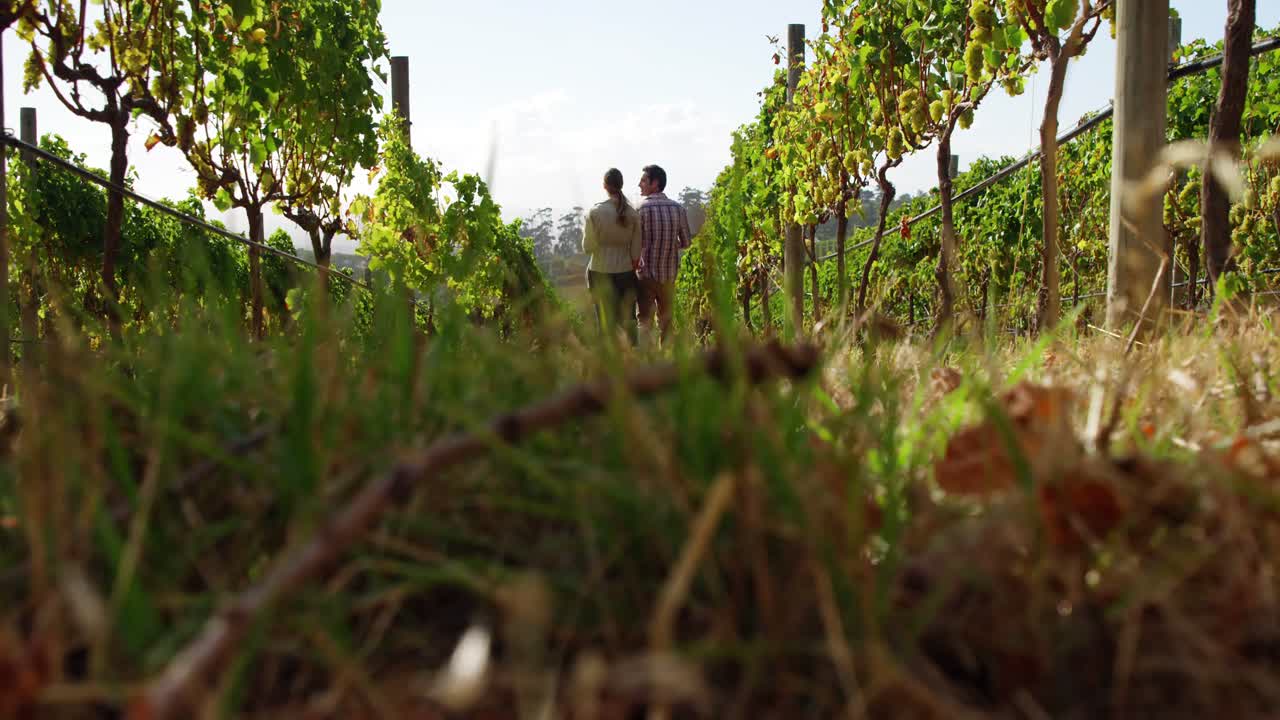 Coppia vista di spalle che si tiene per mano e cammina in un campo