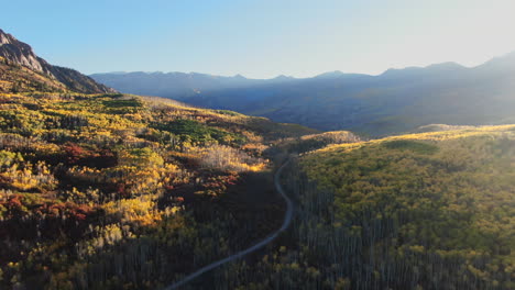 impresionante brillante pájaro azul sol llamarada mañana otoño árbol de abeto bosque caída colores amarillos dorados kebler pasar aéreo cinematográfico drone crested butte gunnison colorado montañas rocosas hacia atrás revelan