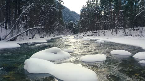 Schöner-Schneeszenenwald-Im-Winter.-Überfliegen-Von-Fluss--Und-Kiefernbäumen,-Die-Mit-Schnee-Bedeckt-Sind.