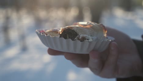 在冬天吹掉糖在兩個strudel餅乾上