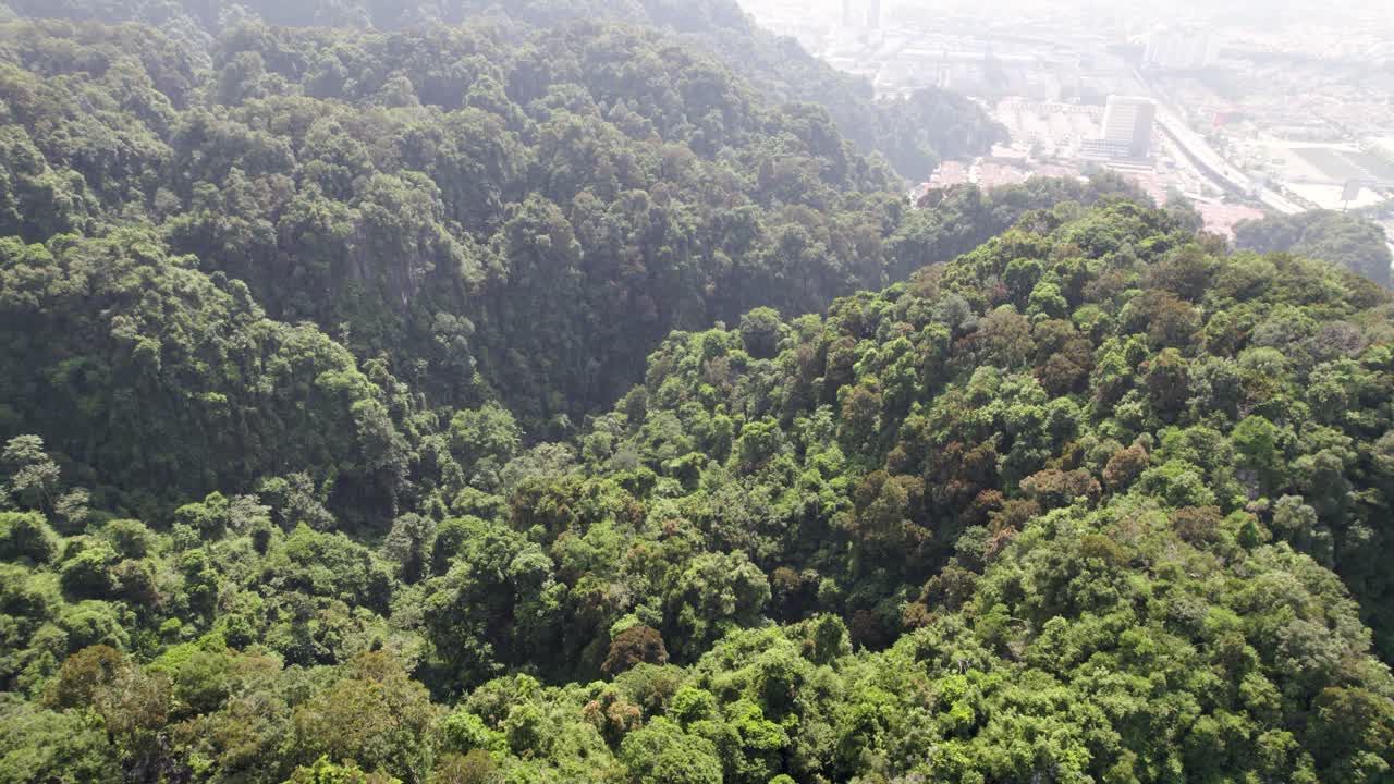kuala lumpur malasia abriendo un agujero en el bosque arriba