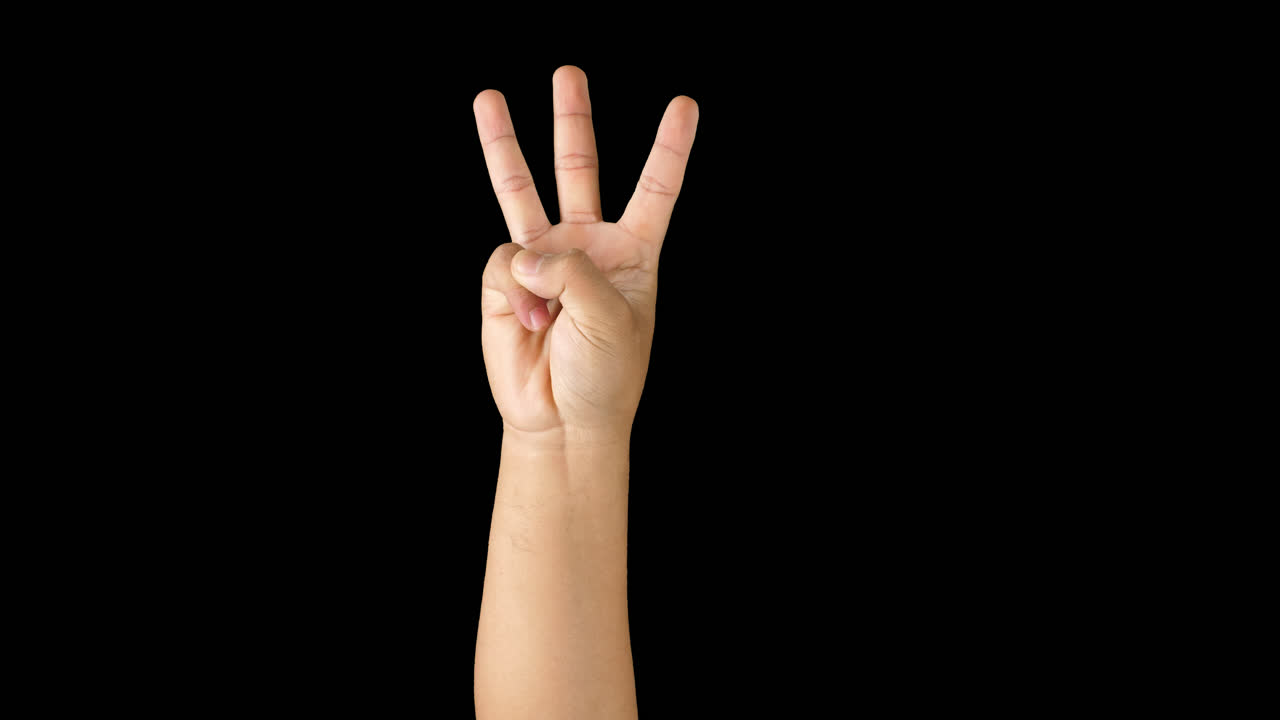 손은 3번을 보여줍니다.