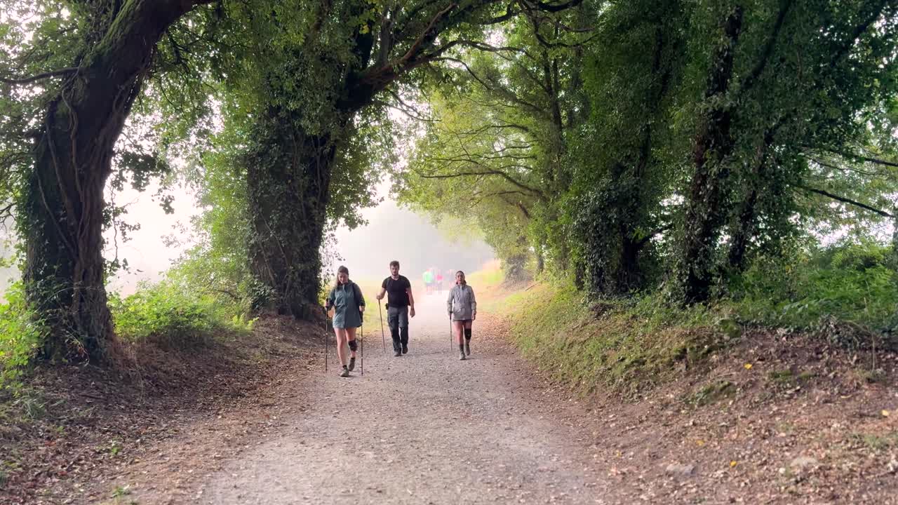Group of people walking the Camino de Santiago in Spain, experiencing pilgrimage, culture, and spiritual journey through scenic rural landscapes