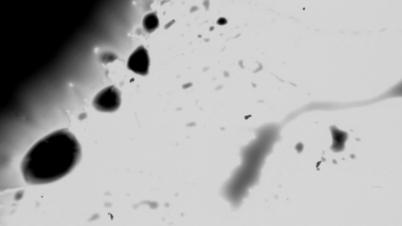 Flusso e diffusione dinamica di inchiostro astratto in bianco e nero