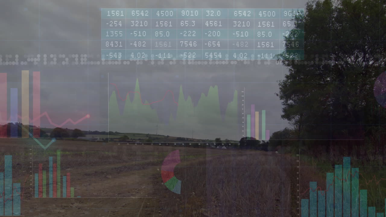 animación del procesamiento de datos financieros en el campo