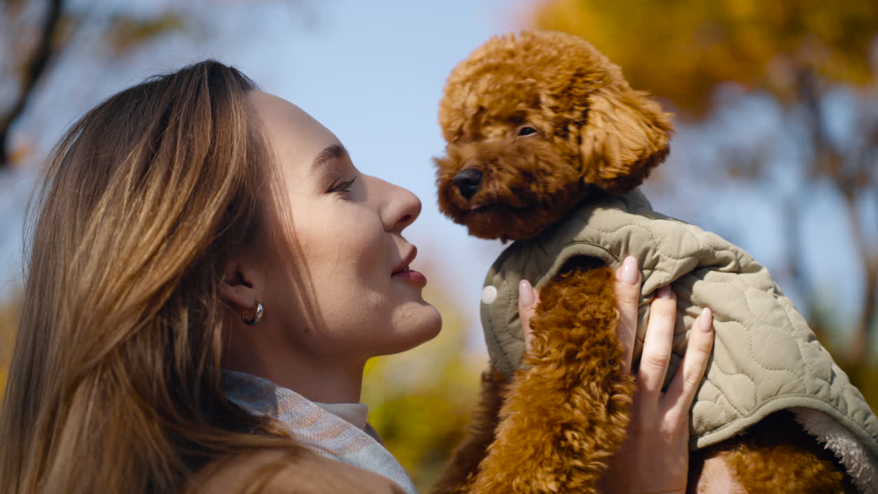 Woman holding and smiling at her cute Toy Poodle puppy in an autumn park